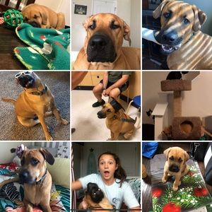 Meet your Posher, Rylee